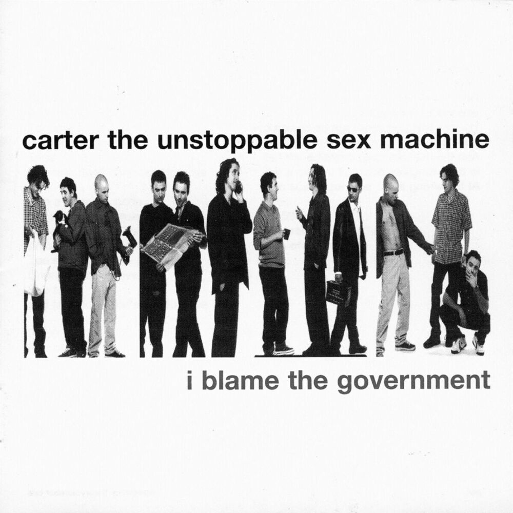 Picture of I Blame the Government