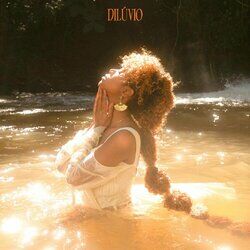 Cover of Dilúvio