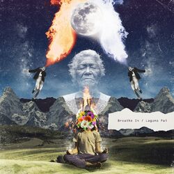 Cover of Breathe In