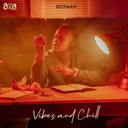 Cover of VIBES AND CHILL