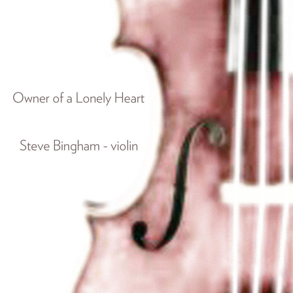 Picture of Owner of a Lonely Heart (Violin Cover)