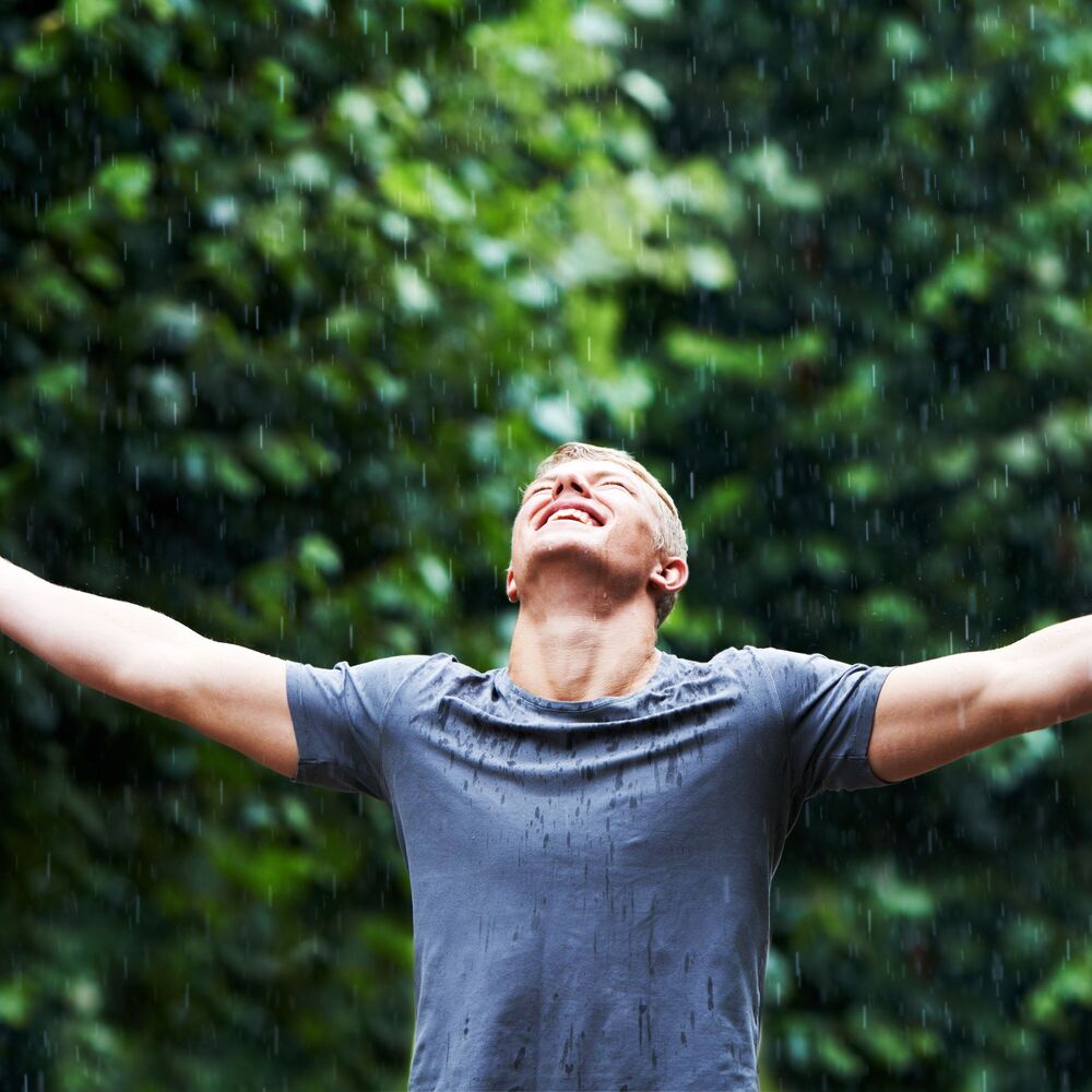 Picture of Rhythmic Rainfall in Tranquil Moments