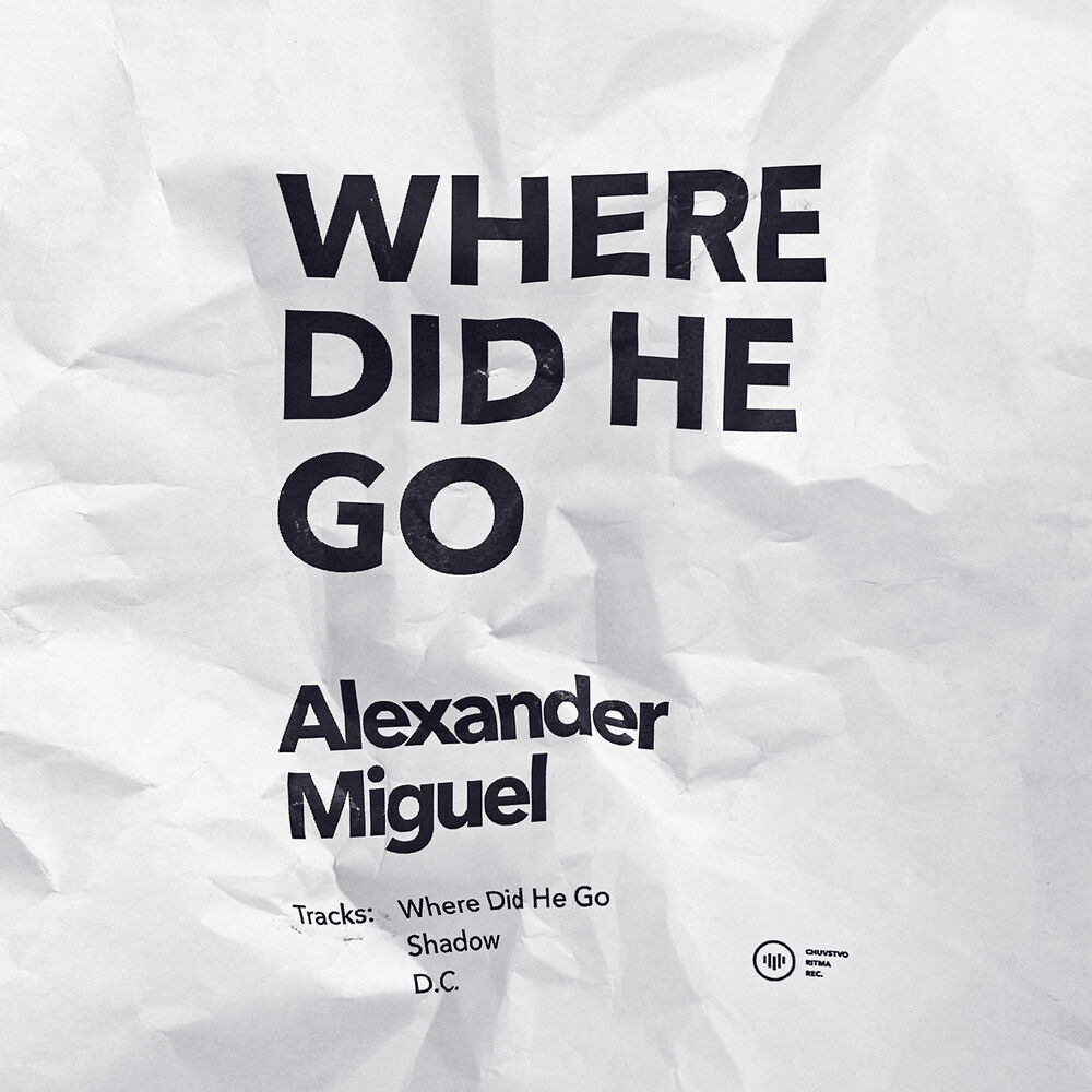 Picture of Where Did He Go