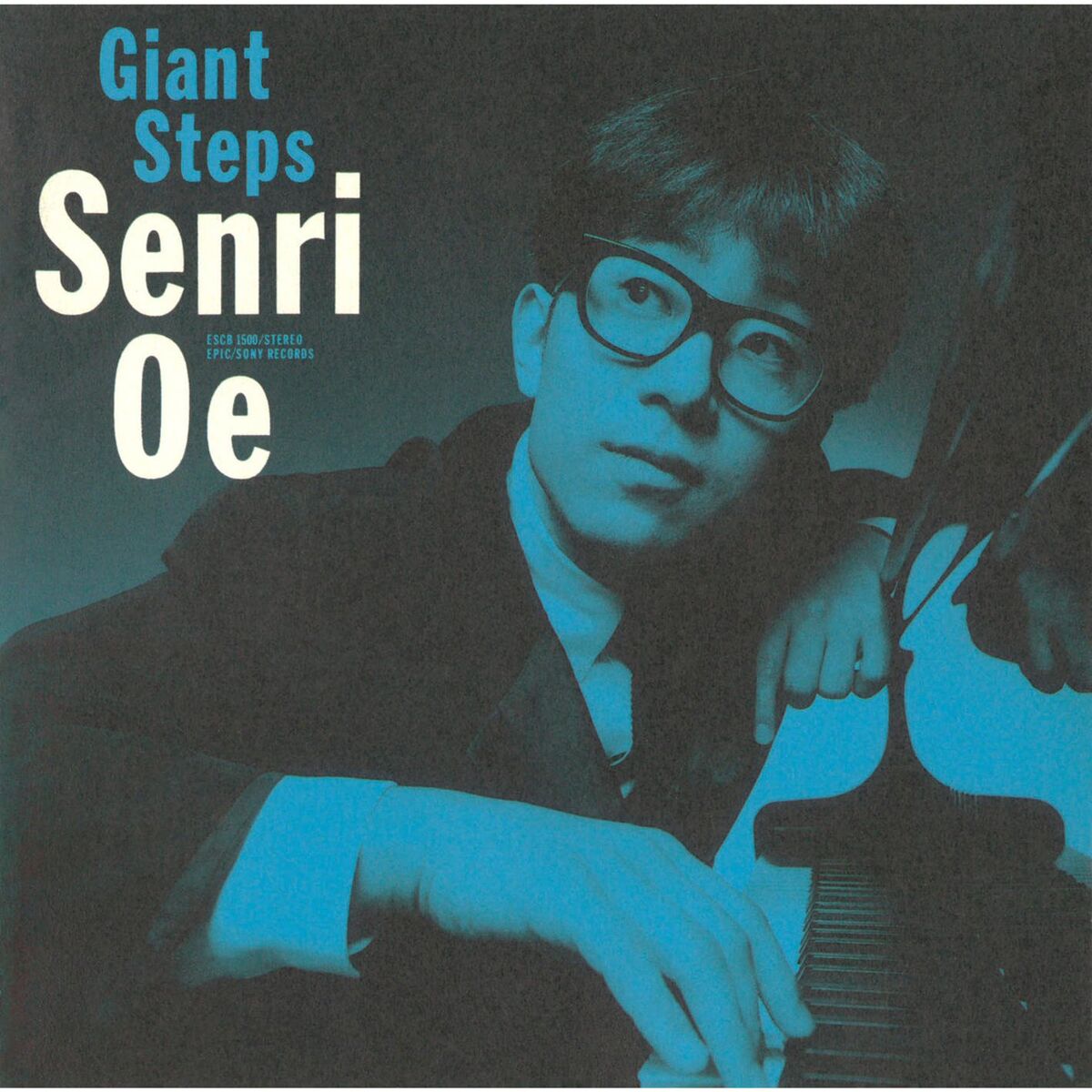 SENRI OE EPIC YEARS 1983-1999 邦楽 - 邦楽
