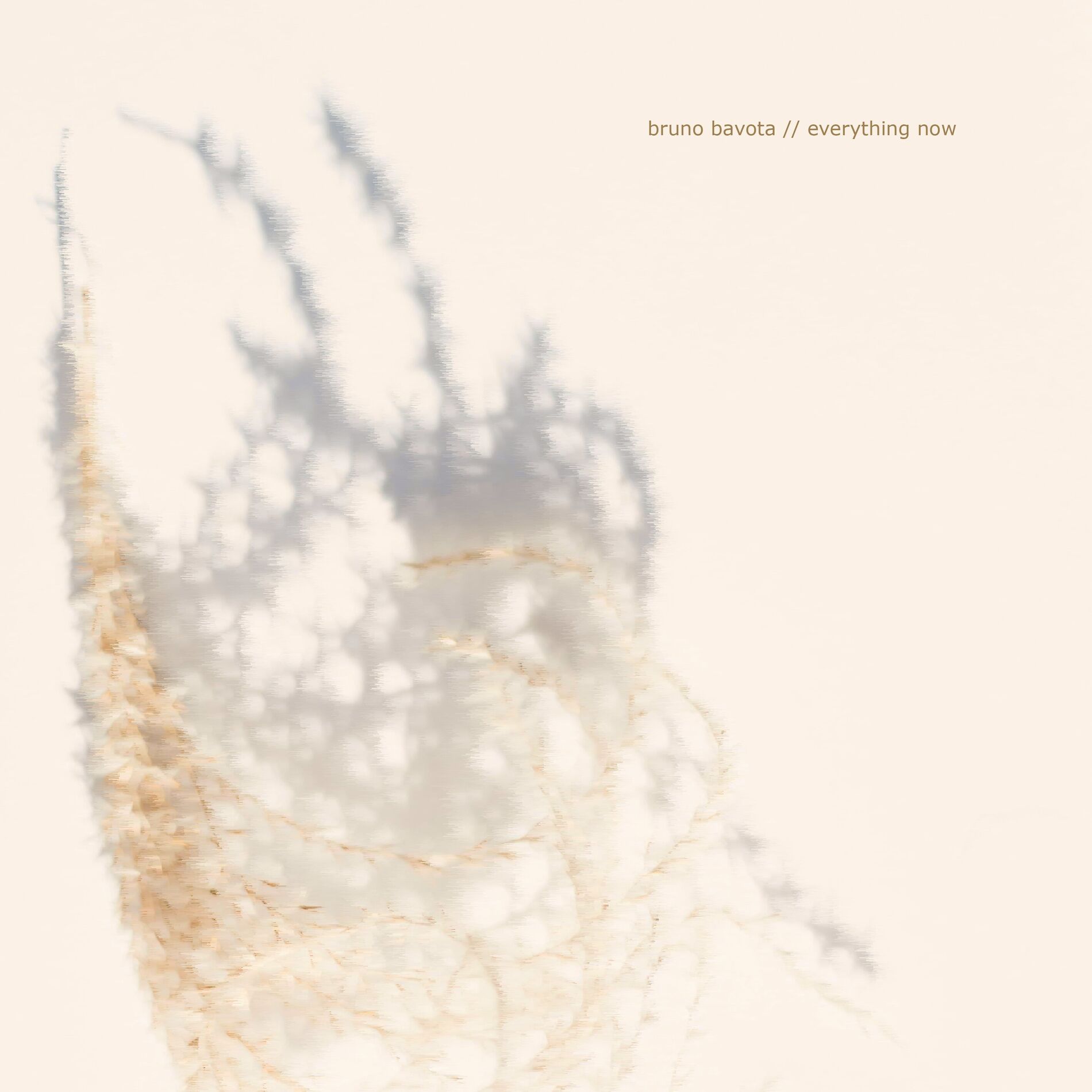 Album cover of Everything now