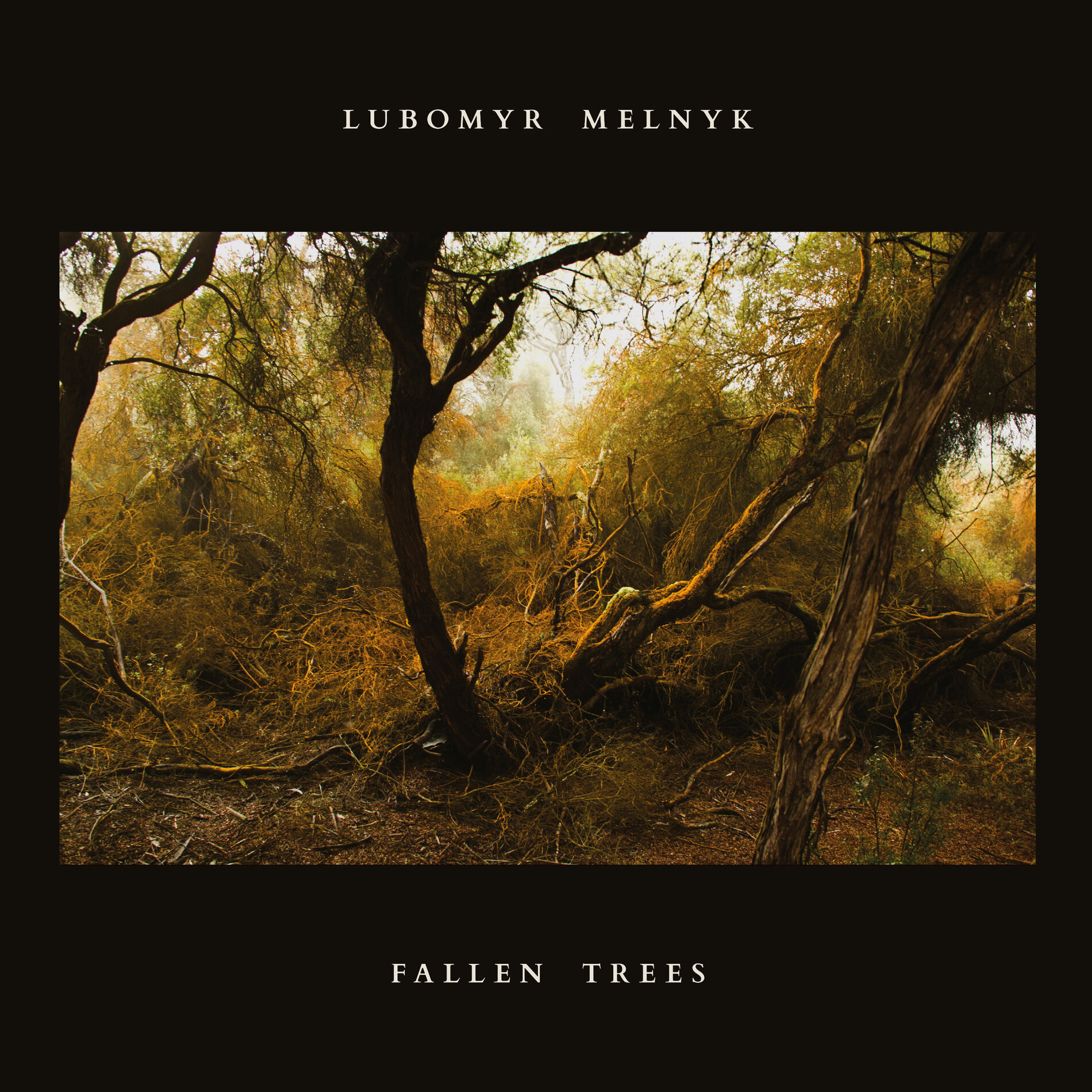 Album cover of Fallen Trees