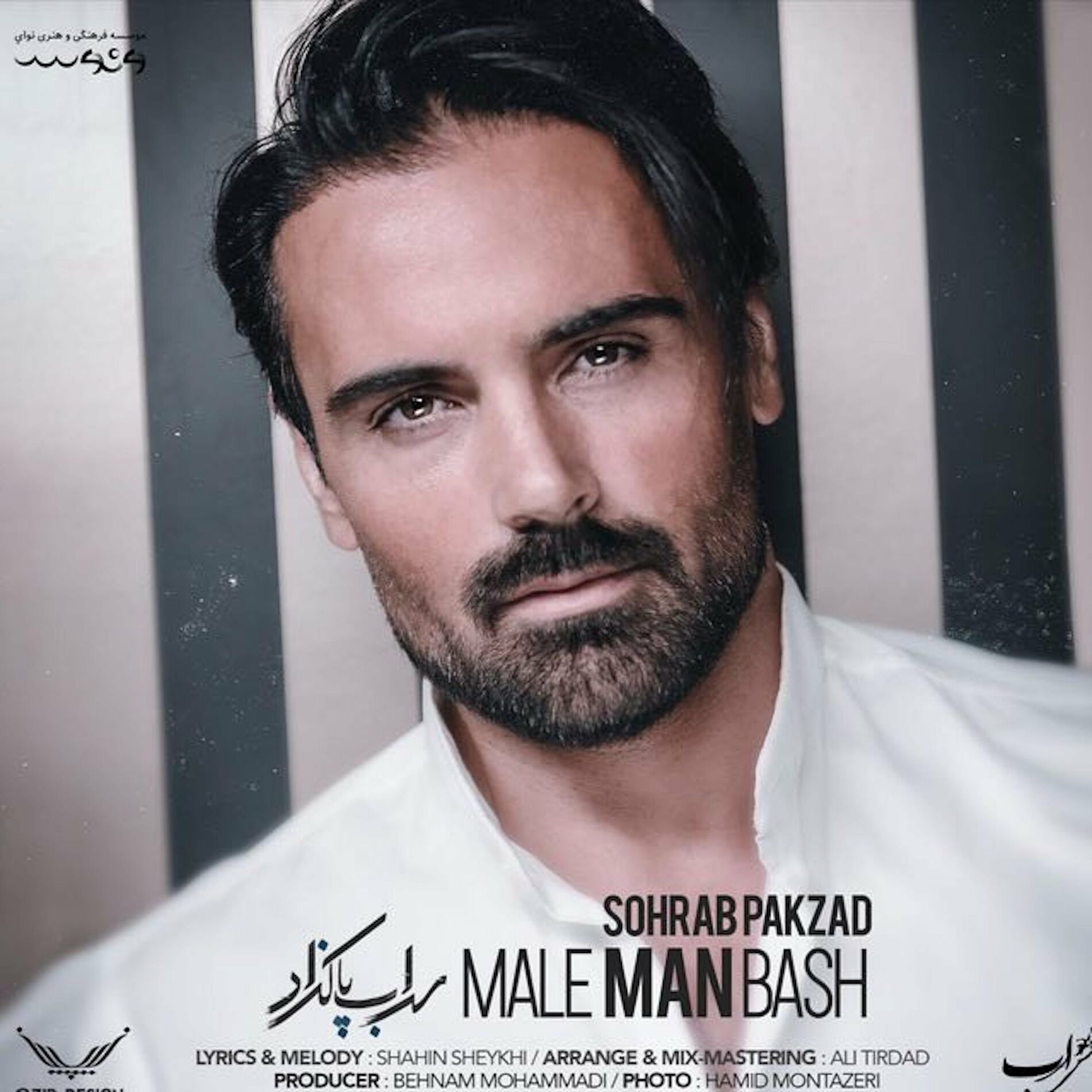 Album cover of Male Man Bash