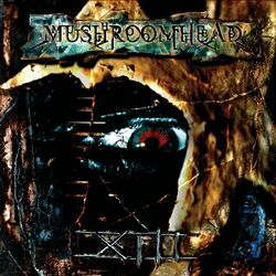 Cover of XIII