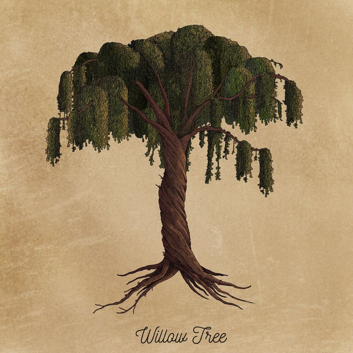 Album cover of Willow Tree