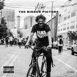 Cover of The Bigger Picture
