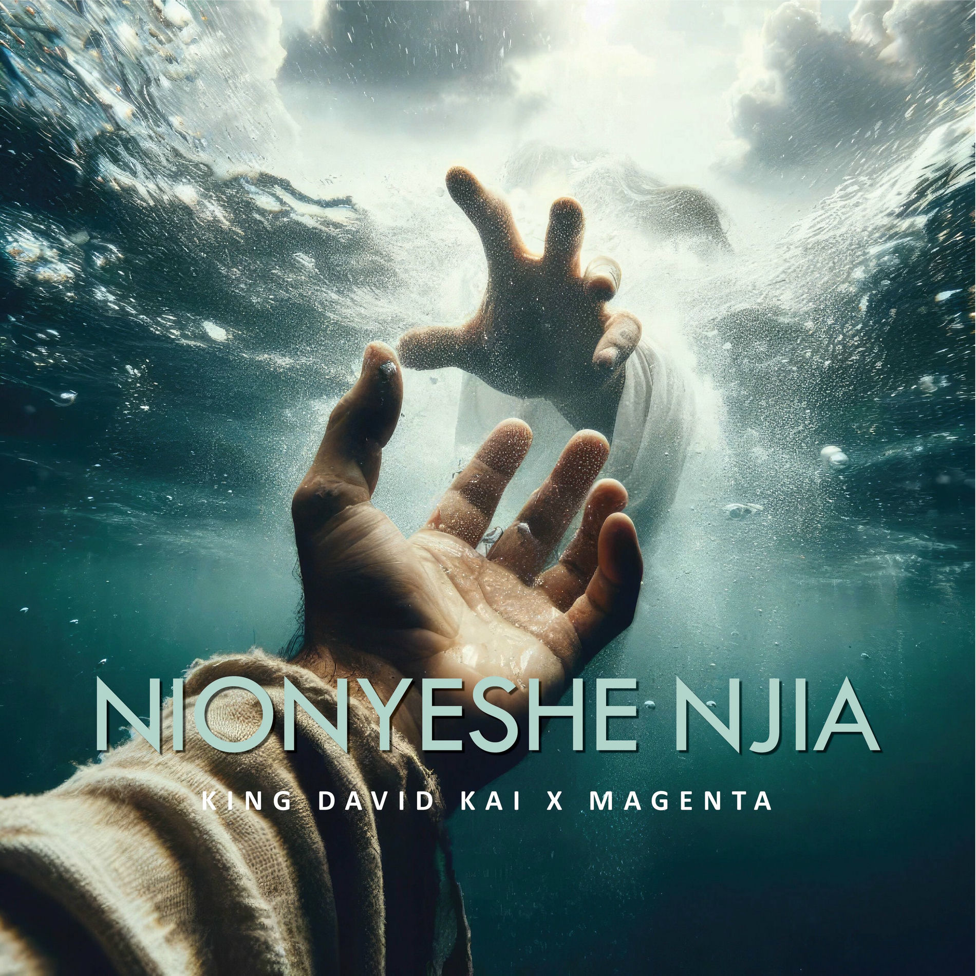 Album cover of Nionyeshe njia