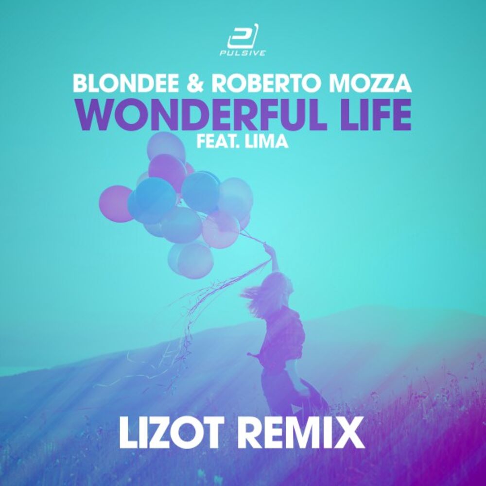 Picture of Wonderful Life (Lizot Edition)