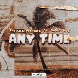 Cover of Any Time