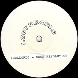 Cover of Moon Revolution