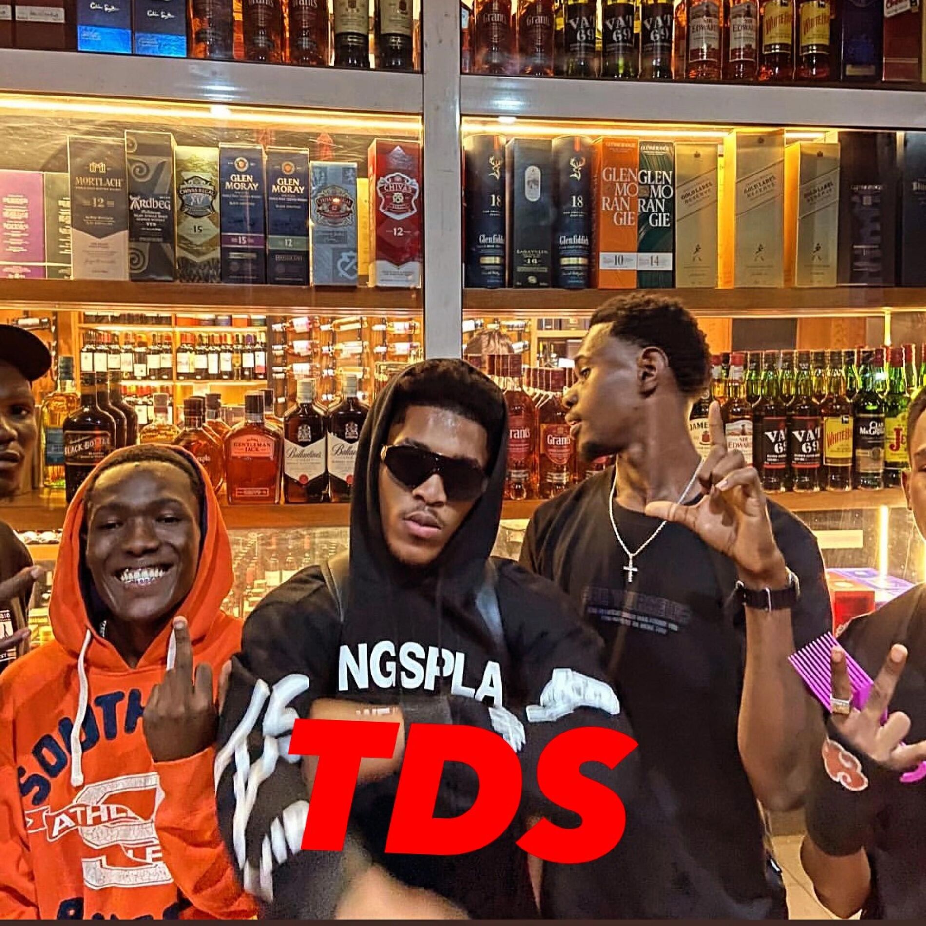 Album cover of TDS (feat. RB)