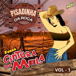 Na Pisadinha da Roça Vol.1
