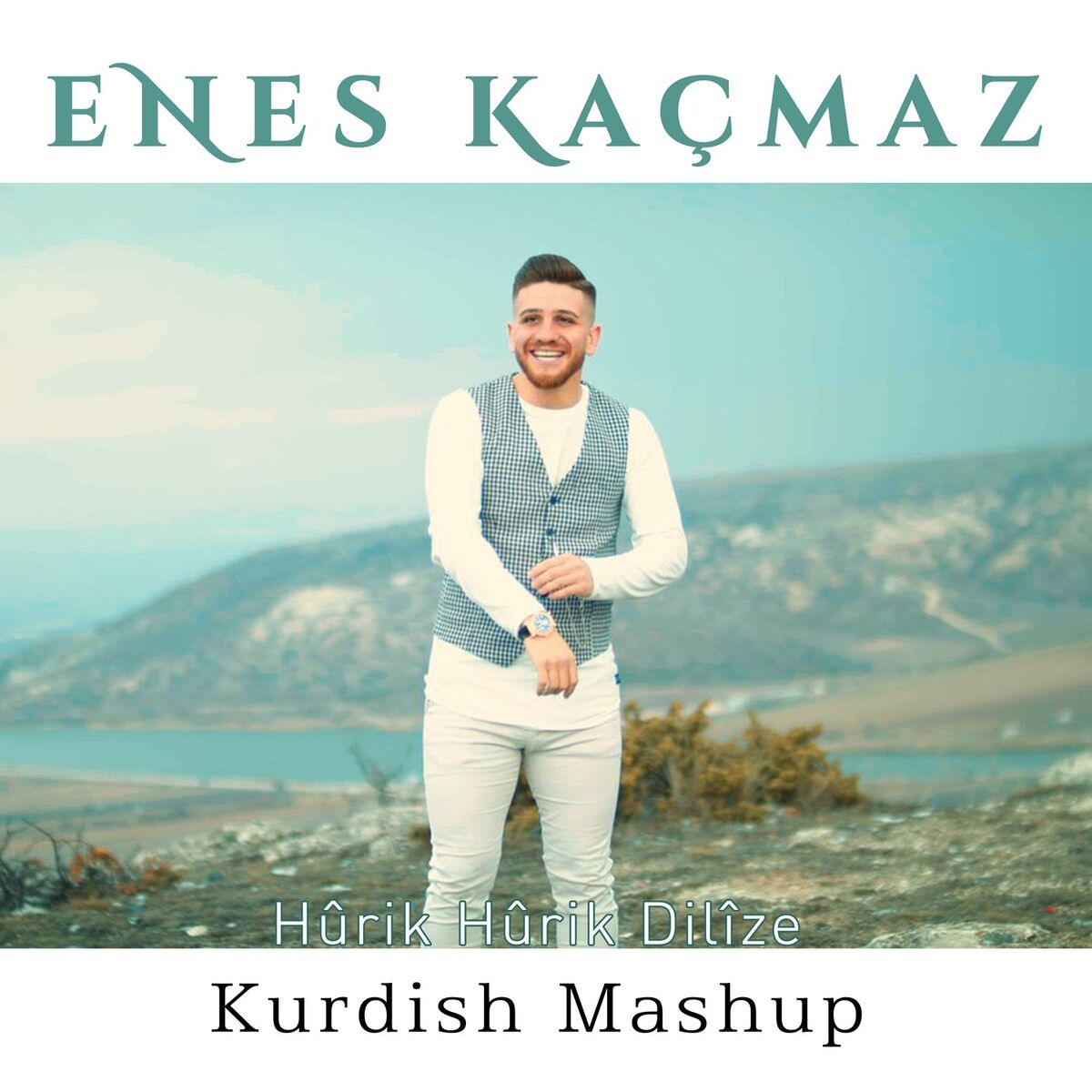 Album cover of Hûrik Hûrik Dilîze (Kurdish Mashup)