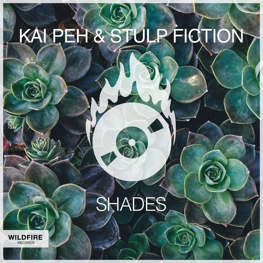 Picture of Shades