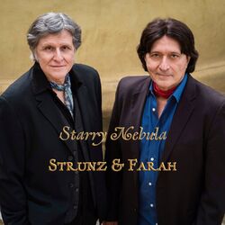 Cover of Starry Nebula