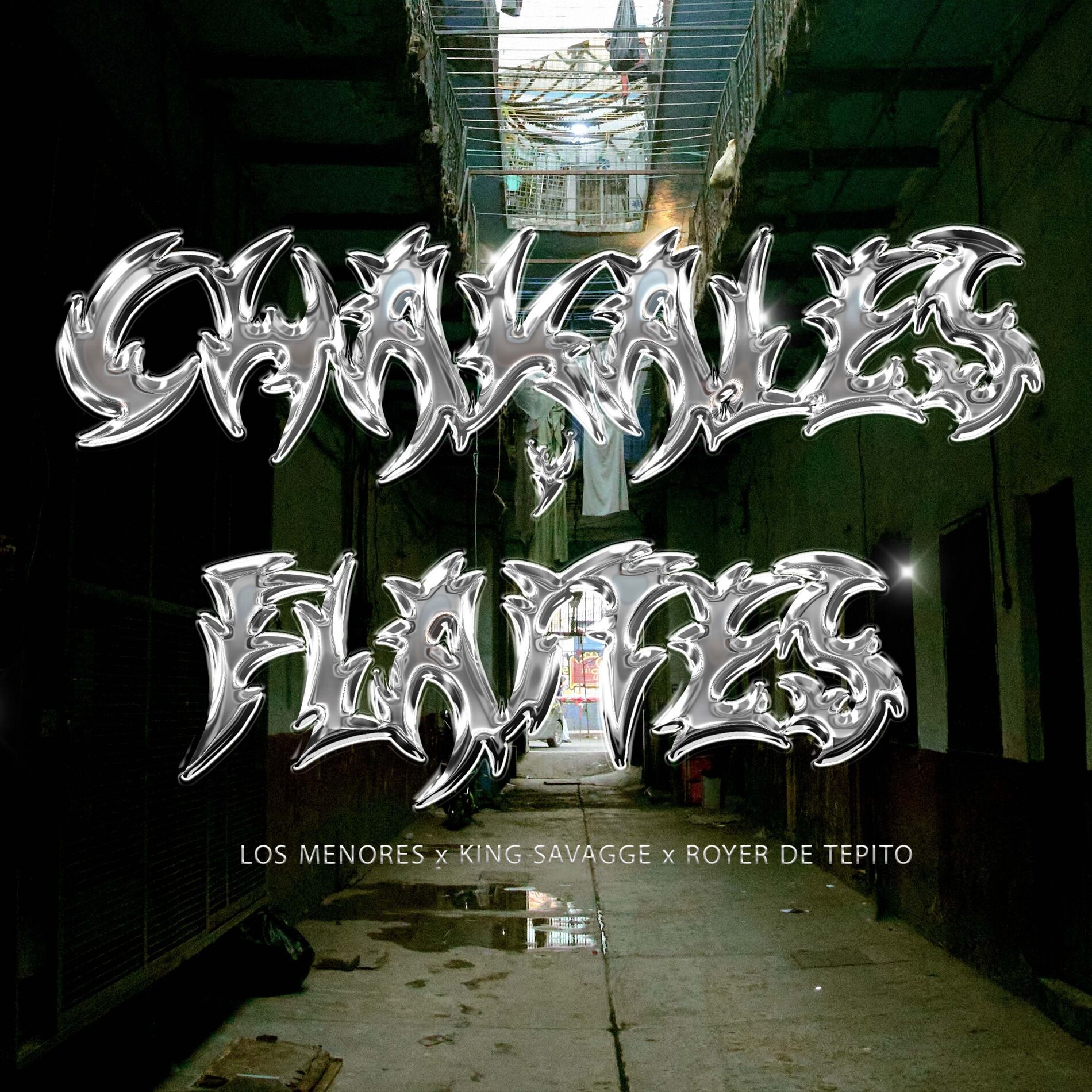 Album cover of Chakales y Flaytes