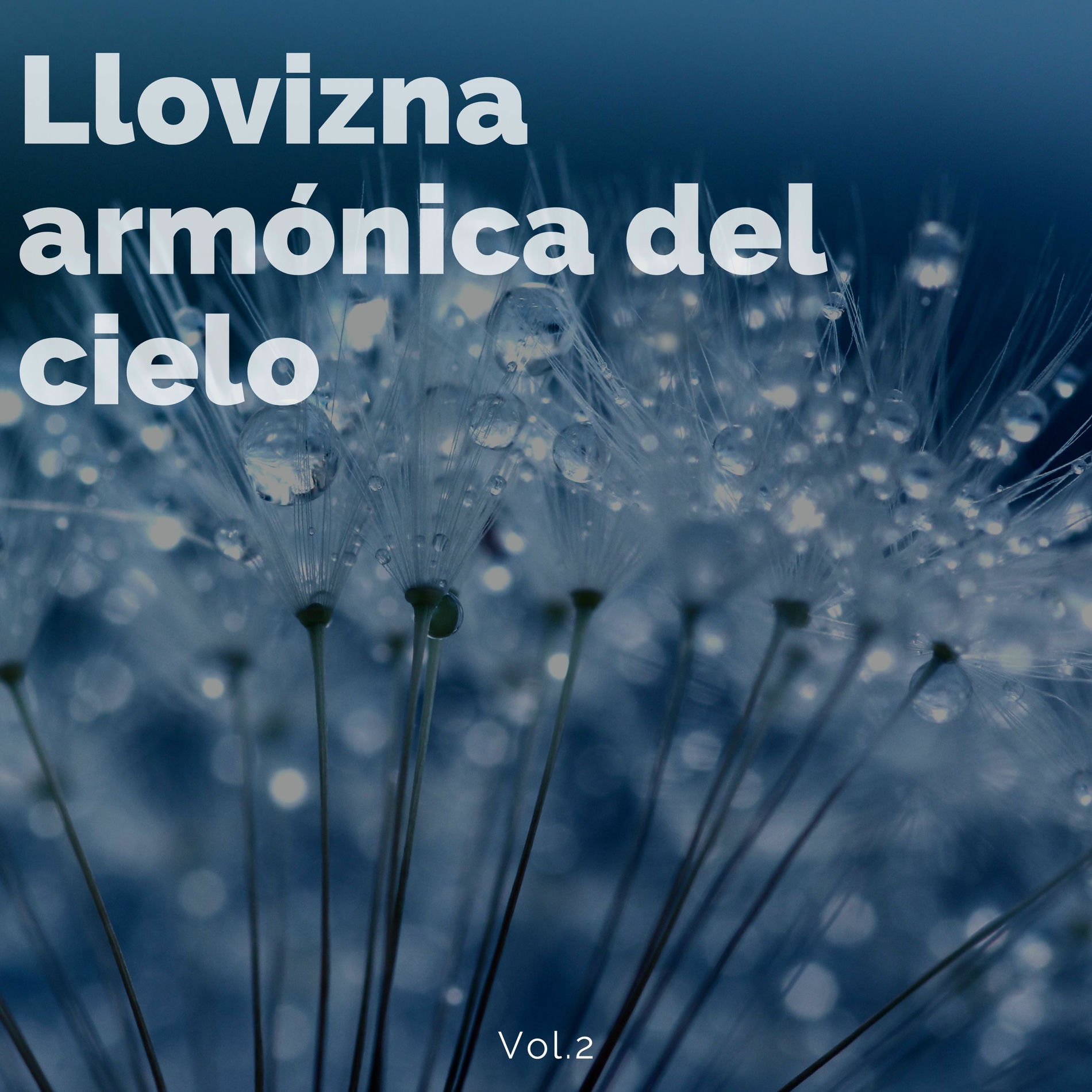Album cover of Llovizna armonica del cielo Vol.2