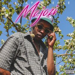 Cover of Majozi