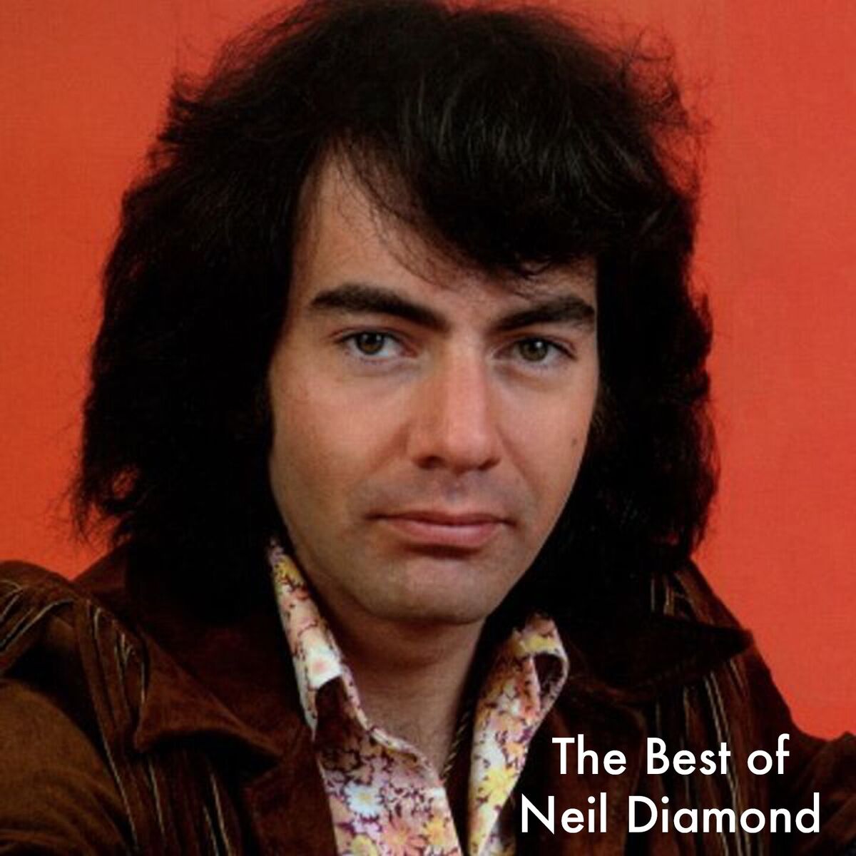 Album cover of The Best of Neil Diamond