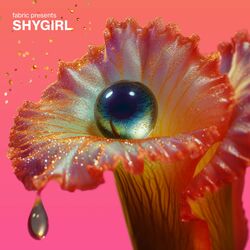 Cover of fabric presents Shygirl (DJ Mix)