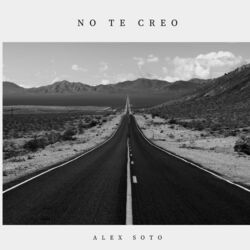 Cover of NO TE CREO