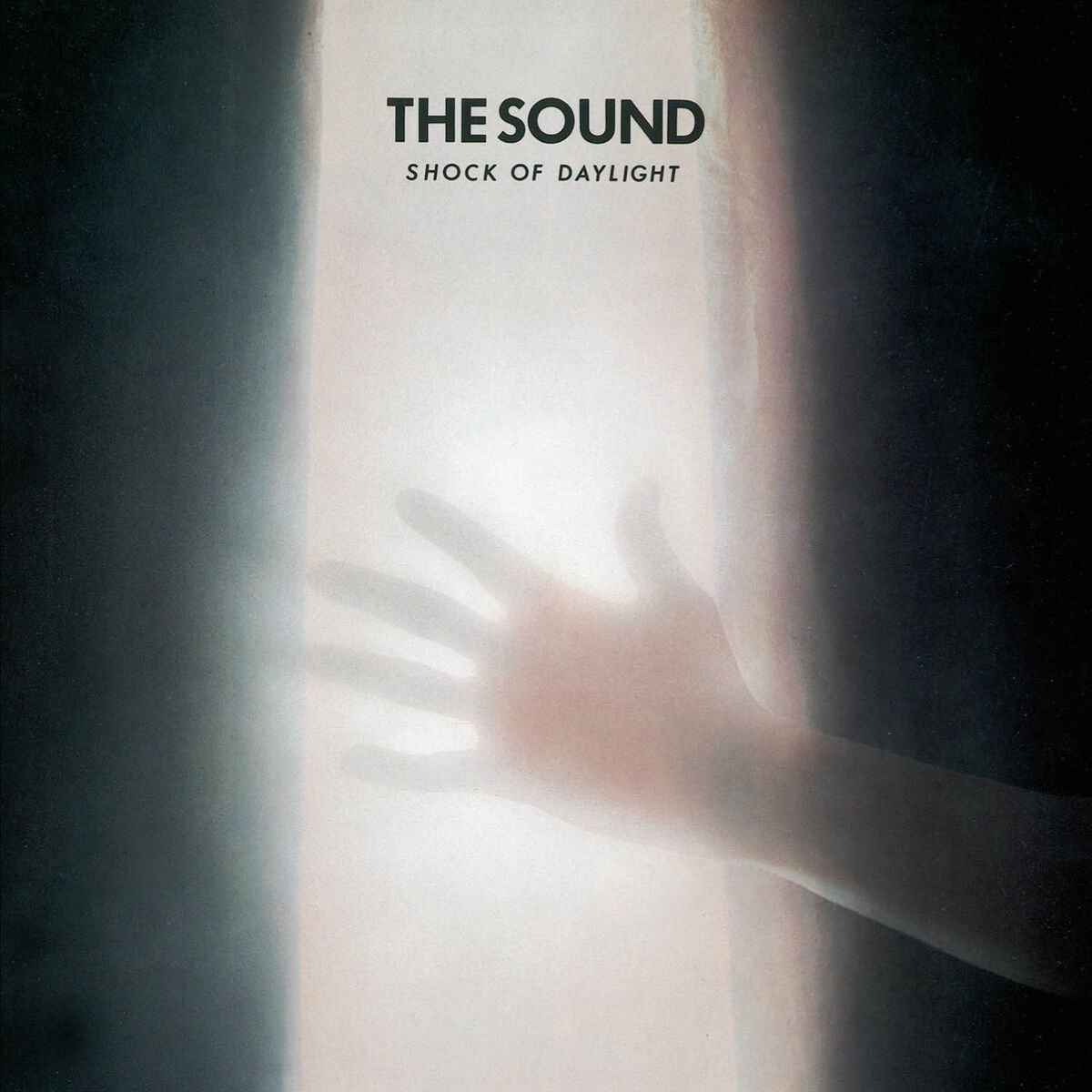 Album cover of Counting the Days