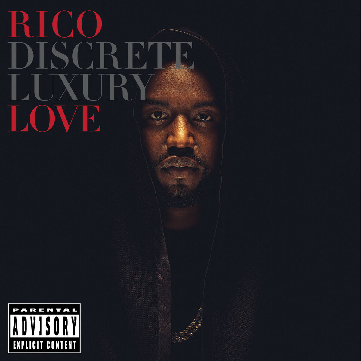 Album cover of Discrete Luxury