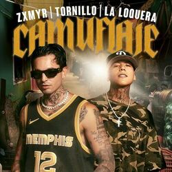 Cover of Camuflaje