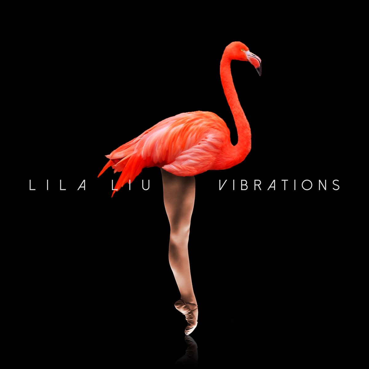 Album cover of Vibrations