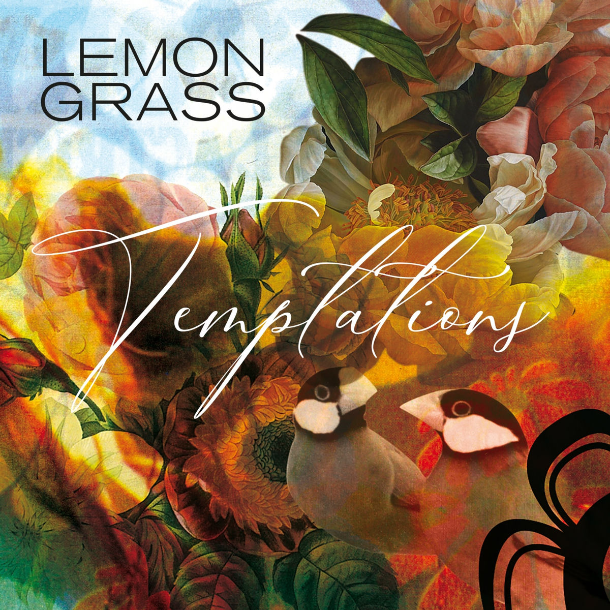 Album cover of Temptations
