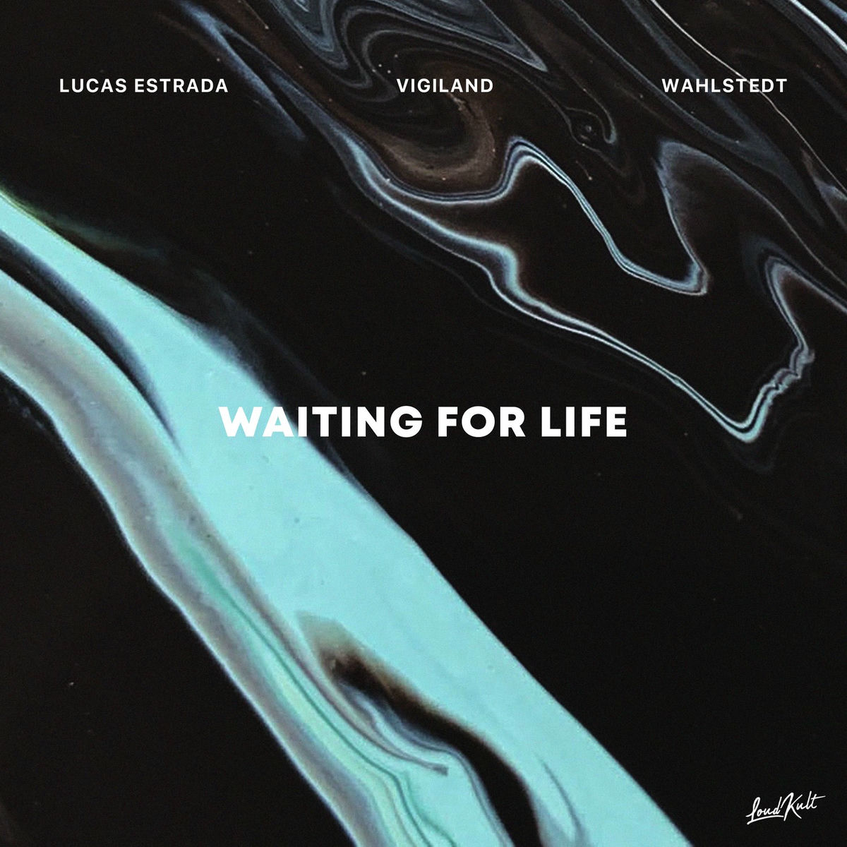 Album cover of Waiting for Life