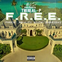 Cover of Force Reality Each Everyday