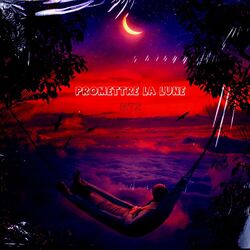 Cover of Promettre la lune