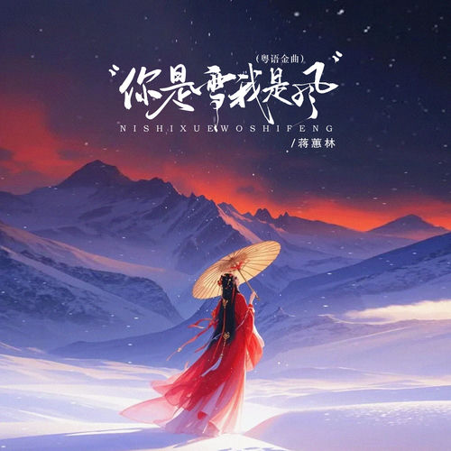 你是雪我是风 (DJ京仔粤语金曲版)
