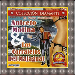 Cover of 20 Temas Inolvidables