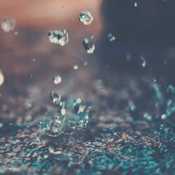 Cover of Feelings for Rainy Days