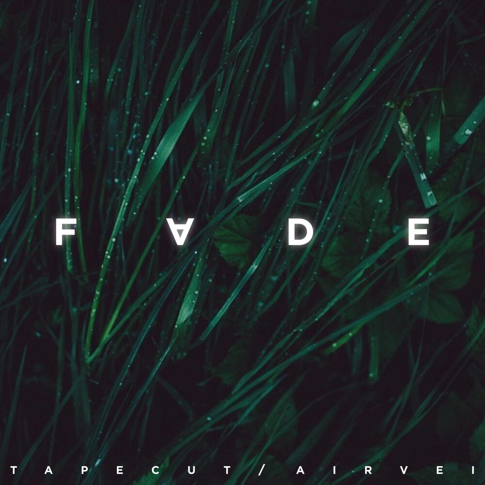 Picture of Fade