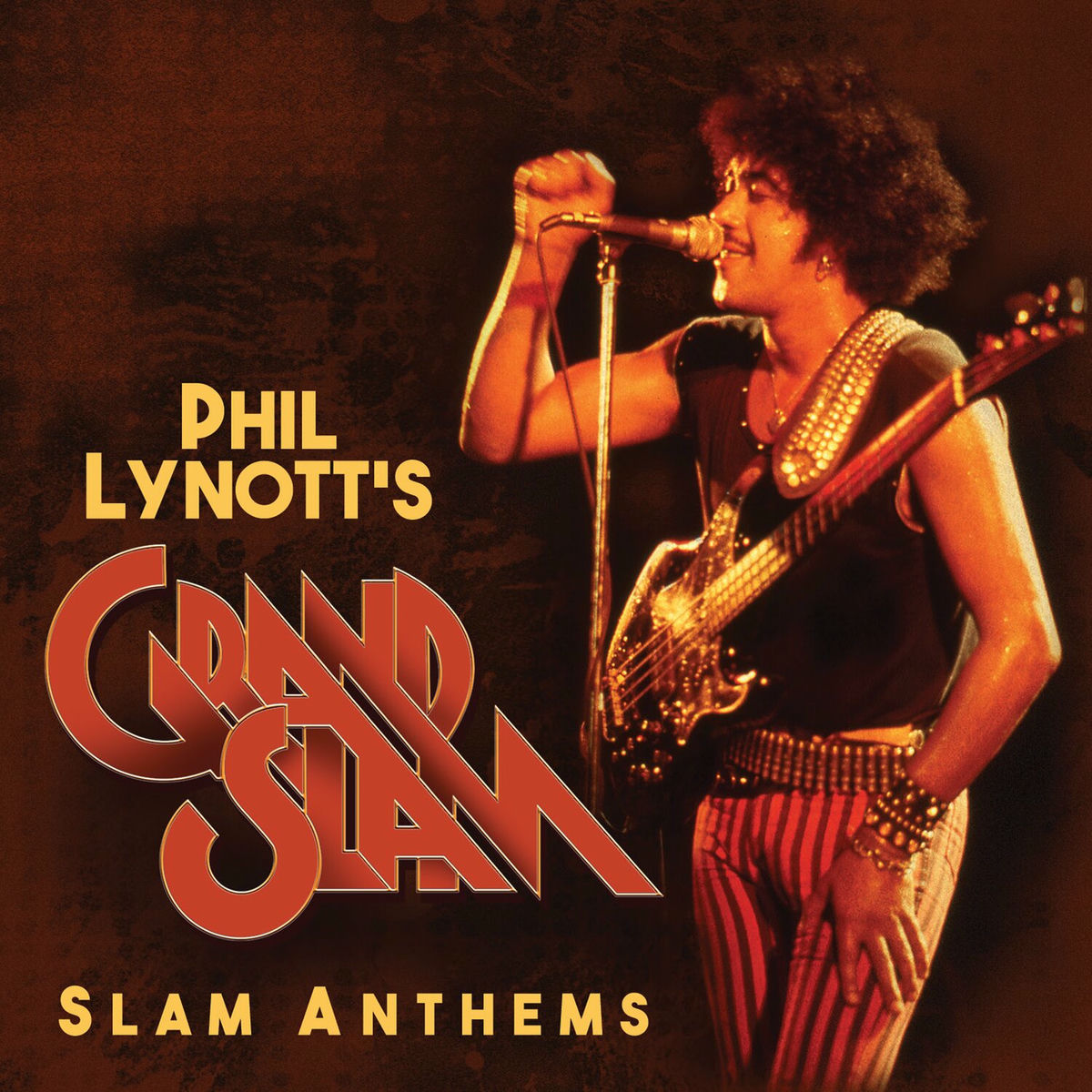 Album cover of Slam Anthems