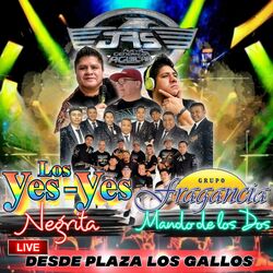 Cover of Negrita, Mundo De Los Dos Live Desde Plaza Los Gallos