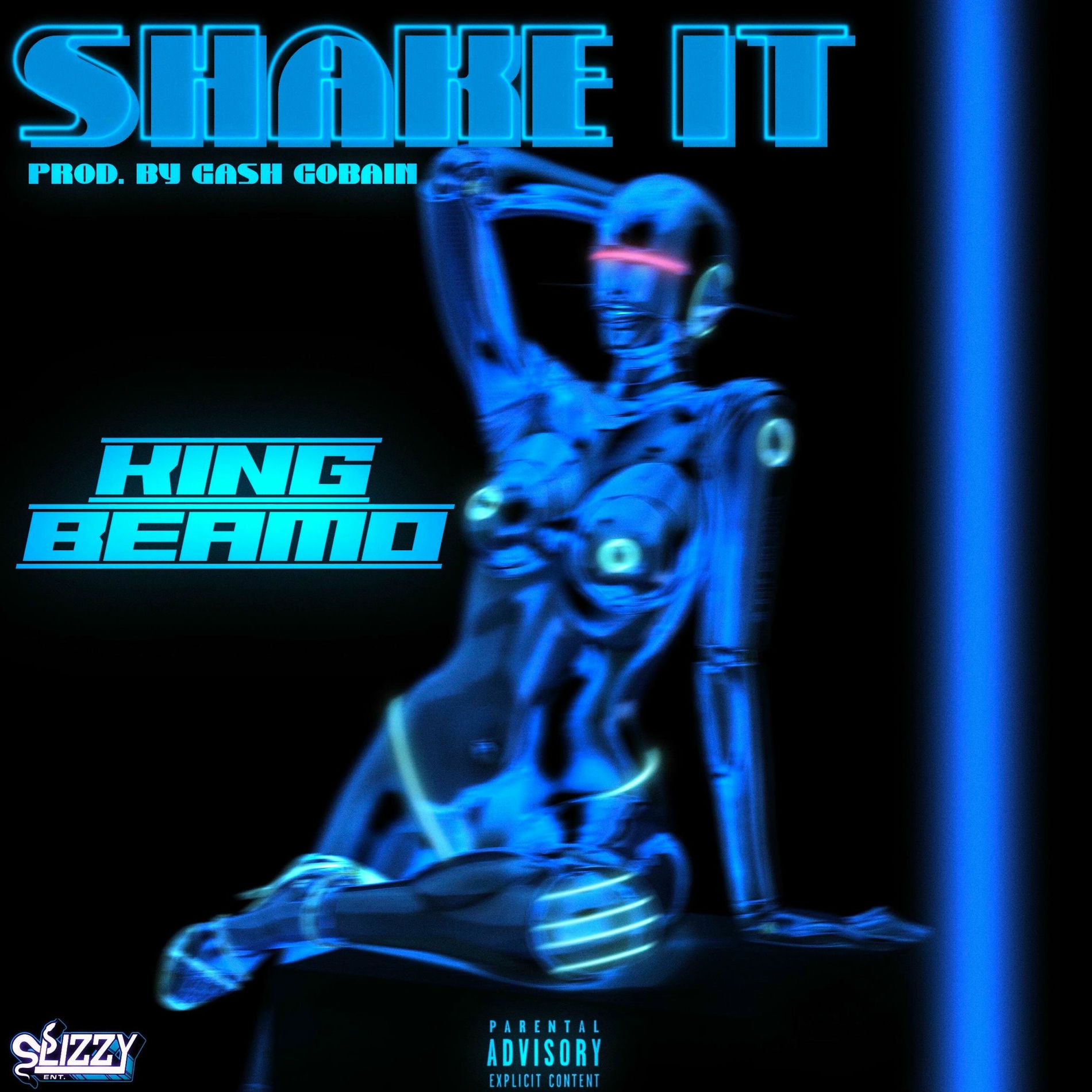 Album cover of SHAKE IT