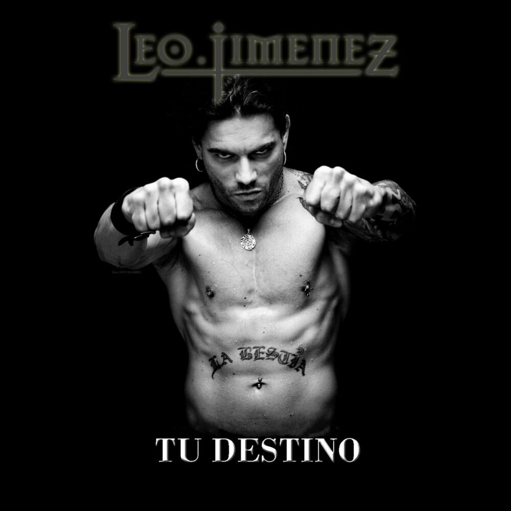 Picture of Tu destino