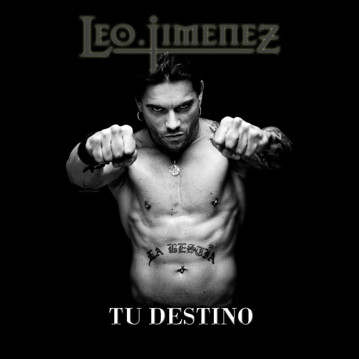 Album cover of Tu destino