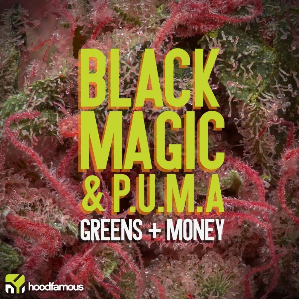 Picture of Greens & Money