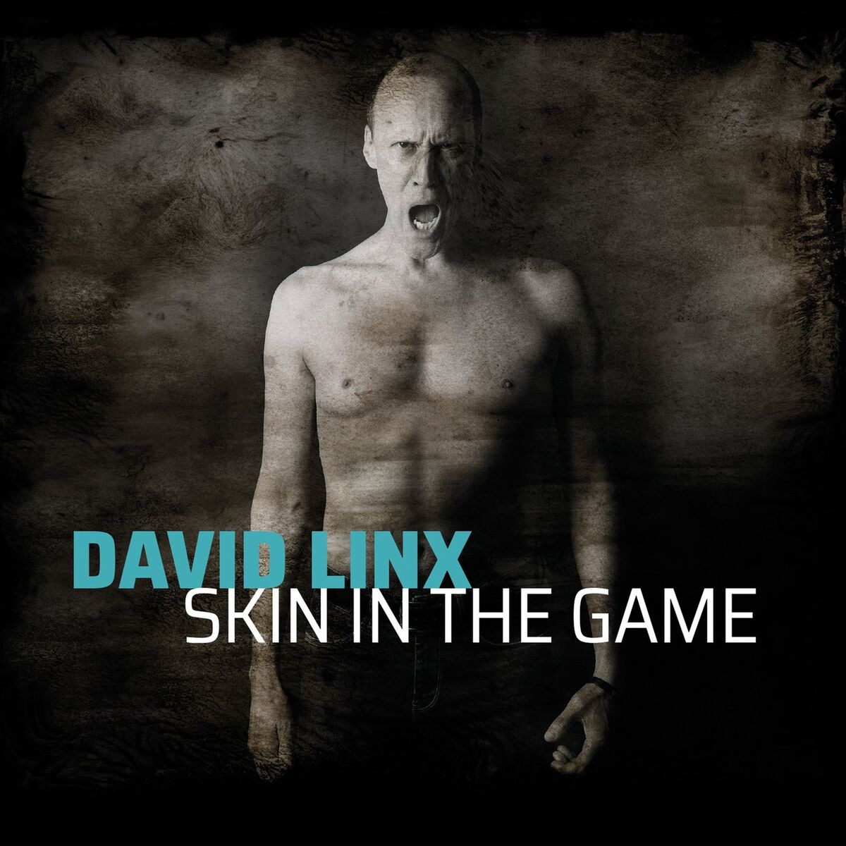 Album cover of Skin in the Game