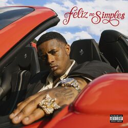 Feliz no Simples ?