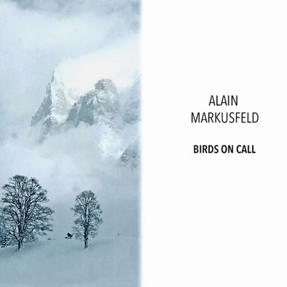 Picture of BIRDS ON CALL